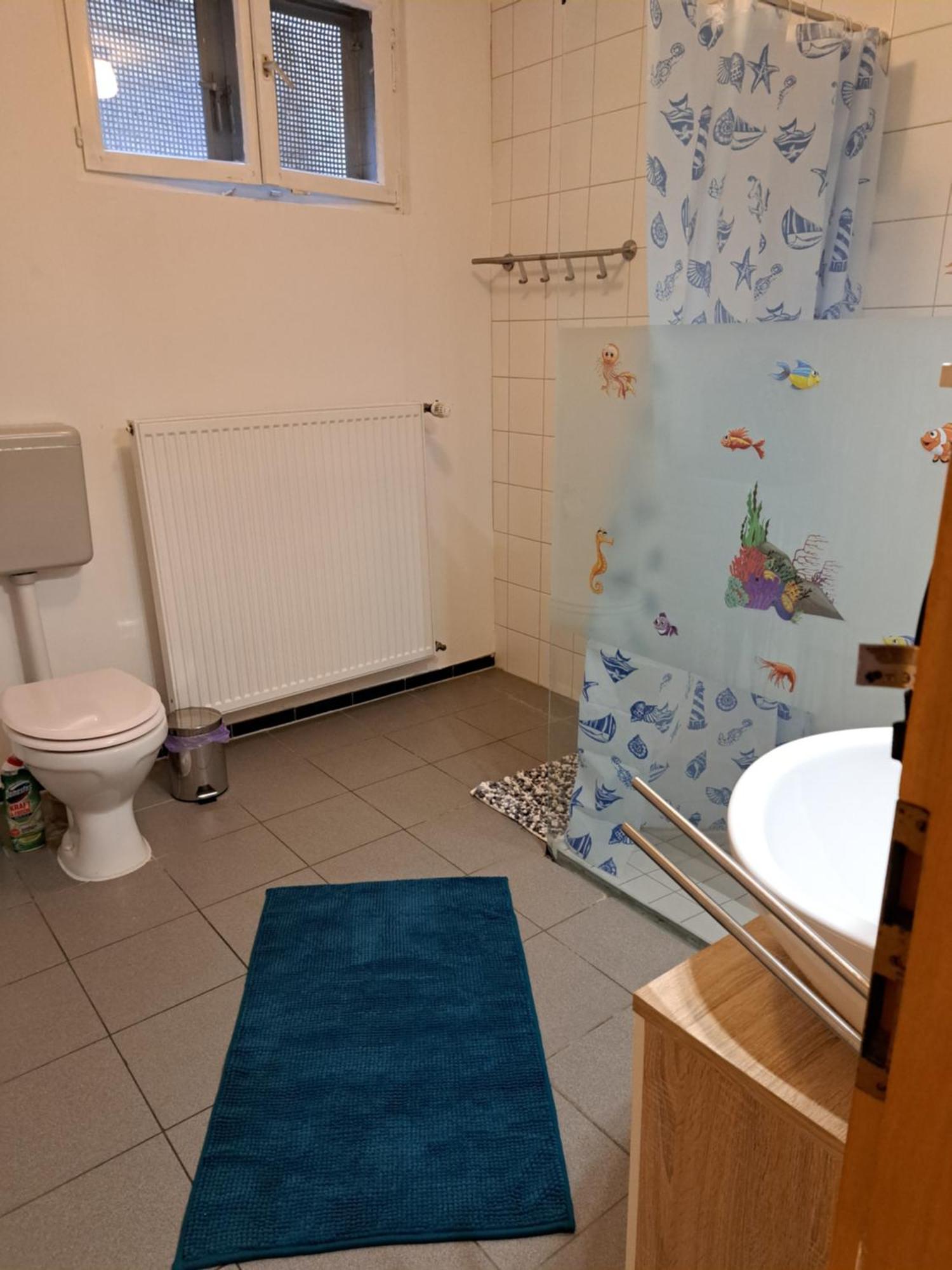 Wohnung Mit 2 - 3 Zimmern Ballenberg Bagian luar foto