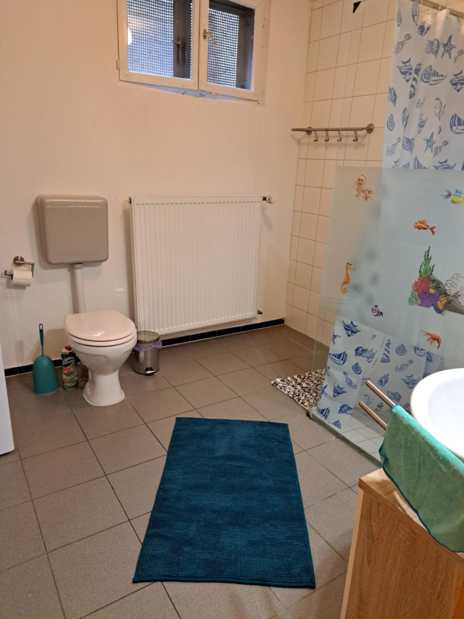 Wohnung Mit 2 - 3 Zimmern Ballenberg Bagian luar foto